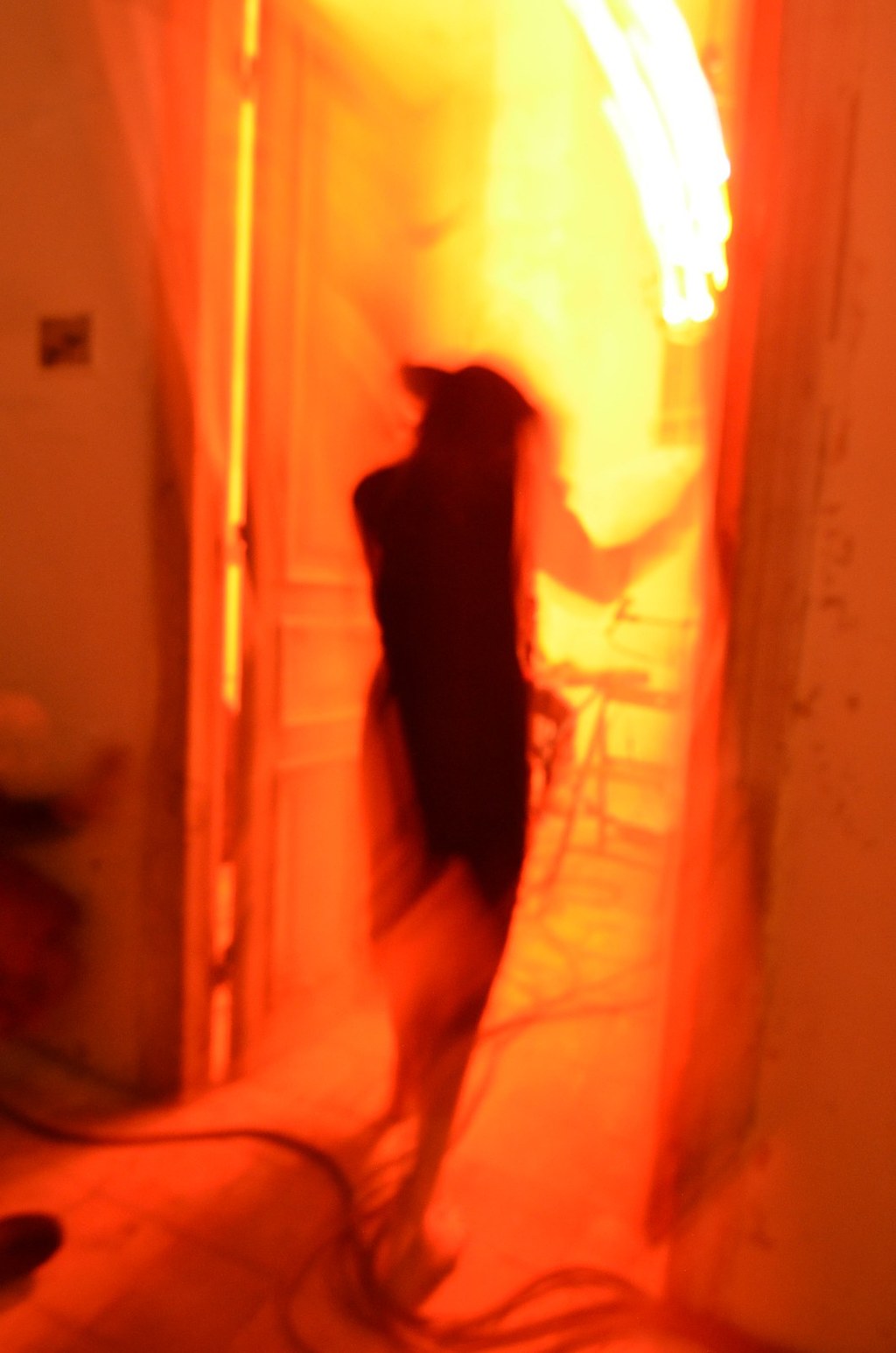 Dood - 2011